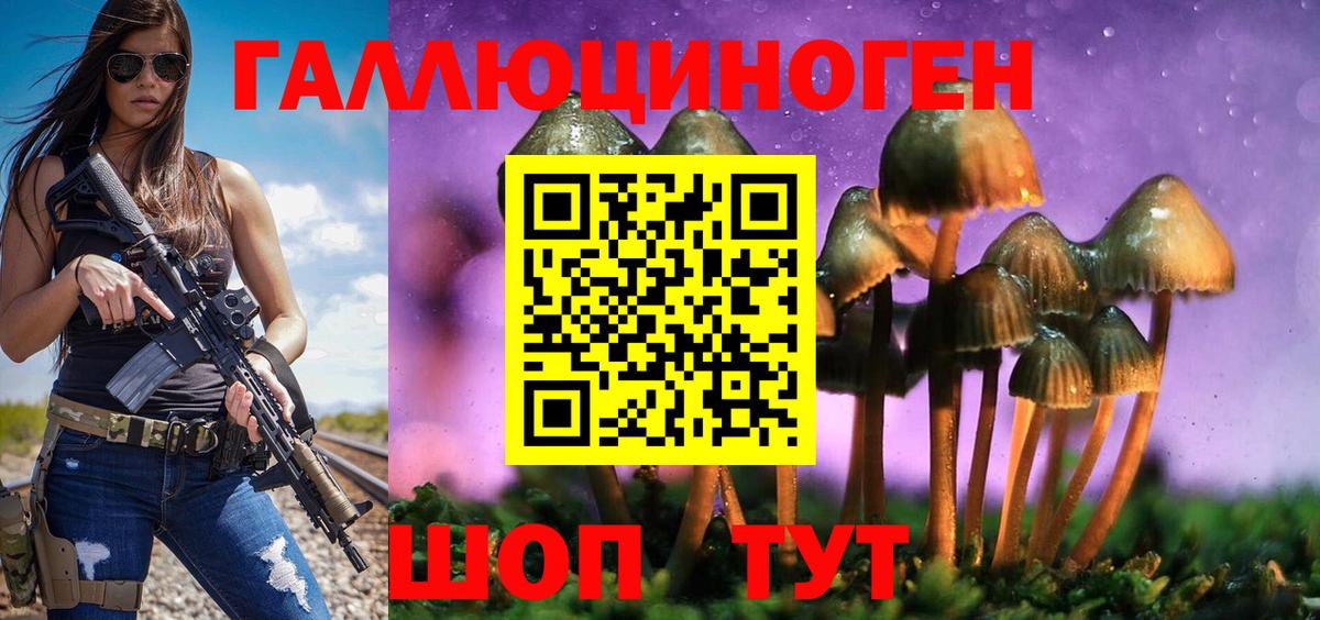 Галлюциногенные грибы GOLDEN TEACHER  где купить наркоту  Ярцево  Вход с VPN 